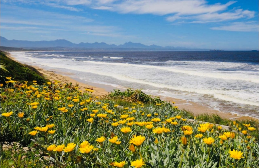 4 Bedroom Property for Sale in Bayview Western Cape